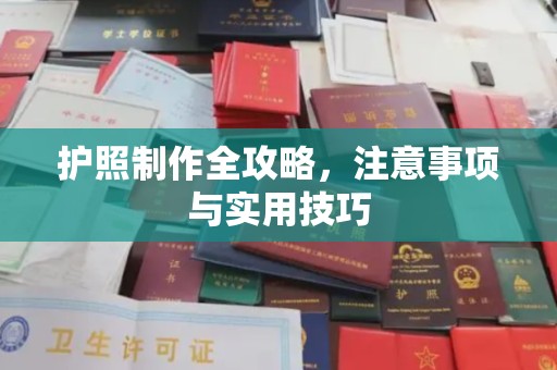 桃源护照制作全攻略，注意事项与实用技巧