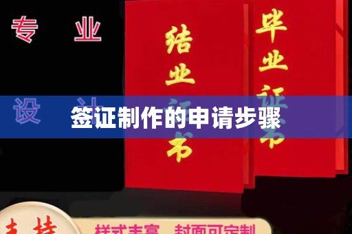 南市签证制作的申请步骤